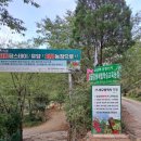 감골감동체험학습교육농장 | [공지] 대구근교 아이와 가볼만한곳-감골감동체험학습교육농장