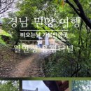 애견동반 밀양테마수영장 이미지