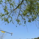 구로-구로-구로-2612 | [구로/놀거리] 이색 숲속 도서관 “천왕산 북카페” 솔직 후기 &amp; 주의사항 : 천왕산 한옥에서 책 읽기