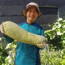 입동농장 이미지