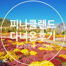 아산 피나클랜드 수목원 오천만송이 국화꽃 구경하고 온 후기~