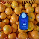 진정농장 이미지