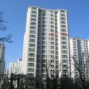 민들레동물약국 이미지