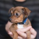 통영동물병원 이미지