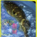 반구정만해치정