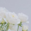 앤엠의원 이미지