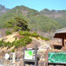 분수대길 이미지