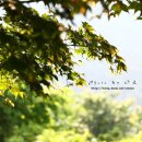 황도민박 이미지