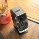 필립스(백합) 이미지