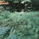 외산면행정복지센터 이미지