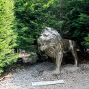 미로파크 이미지