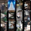 아모르캐슬 | 창원 본식 DVD 가성비 업체 내돈내산 계약 후기