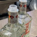 양치기소녀 - 동대문구 천호대로 13 | 동대문 신설동 양꼬치 맛집 "양치기소녀" 6번째 방문 후기