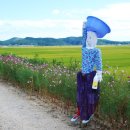 허수아비 이미지