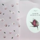 색연필로 쉽게 그리는 보타니컬아트 이미지