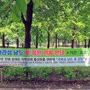 가평가평1088 이미지