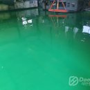 대한(아) 이미지