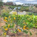 탐나민박 이미지