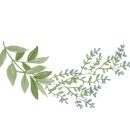 플로르티 이미지
