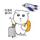 현-P | P의 미야코지마 여행계획 세우기