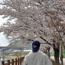 애기야