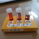 사이언스 데이(비대면) 이미지