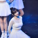 성소 카카오 검색결과