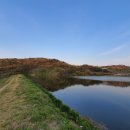 한림명동 이미지