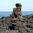 제주 비양도 호니토 이미지