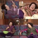 삶의 보람 | 삶의 보람의 반대는