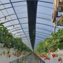 우송농장 이미지