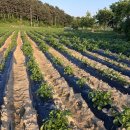 산우리 펜션 이미지