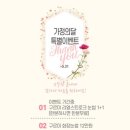 구르미속눈썹