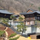 금선사 - 종로구 | 금선사
