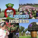 (주)태안현대자동차정비 | 올 봄 꽃축제 추천! 국내봄여행지 태안 봄꽃정원 후기