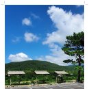 서민식당 이미지