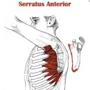 오젠하이 웰니스 도룡점 이미지