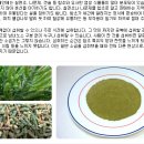 다사랑코리아