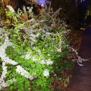 월아산자락 - 사하구 낙동남로1405번길 10-11 | 월아산자락