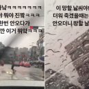 세차의이유 이미지