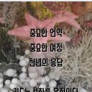 사무엘상17 이미지