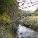 마곡사경내 이미지