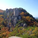 속리산 - 성남시 중원구 시민로117번길 2 | 속리산