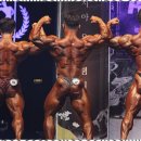 플렉스피티 이미지