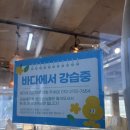 선인장 | 제주도 서핑 강습 후기 – 선인장서프 예약 + 곽지한담해변 체험기