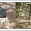 임내등산로 이미지