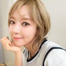 초아 카카오 검색결과