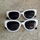 세인트옵티컬 이미지