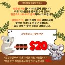 시드니블루마운틴 투어 후기(feat. 호주 무한투어)