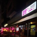 미스터왕파닭치킨
